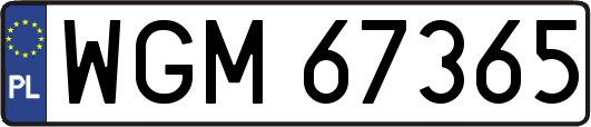 WGM67365