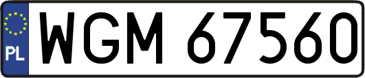 WGM67560