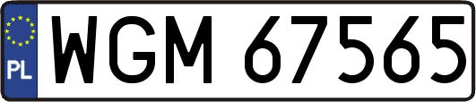 WGM67565