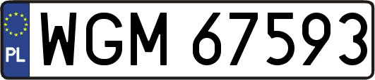 WGM67593