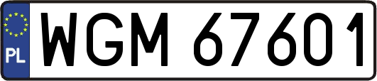 WGM67601