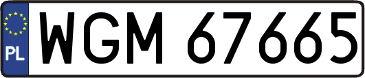 WGM67665