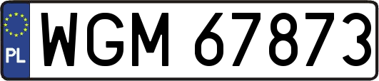 WGM67873
