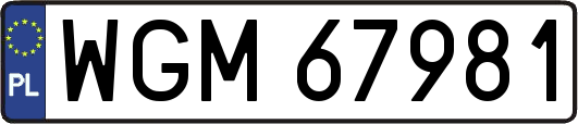WGM67981