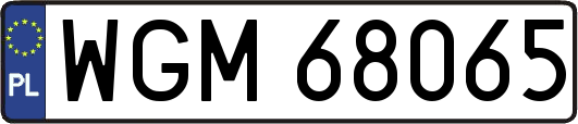 WGM68065