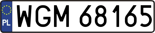 WGM68165