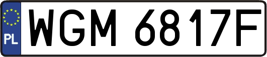 WGM6817F
