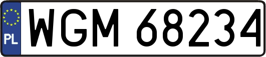 WGM68234