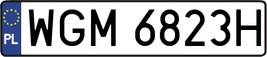 WGM6823H