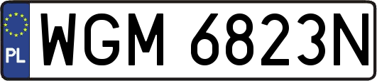 WGM6823N