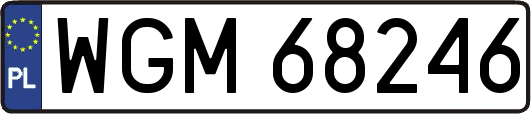 WGM68246