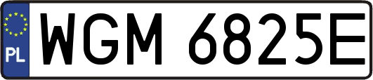 WGM6825E