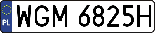 WGM6825H