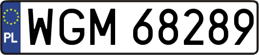 WGM68289
