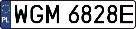 WGM6828E
