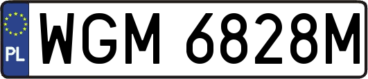 WGM6828M
