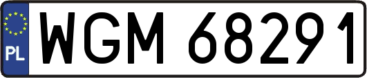 WGM68291