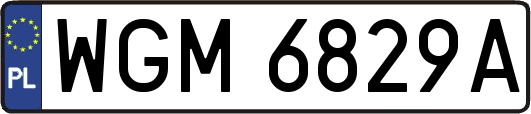 WGM6829A