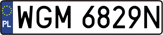 WGM6829N