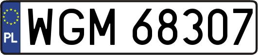 WGM68307