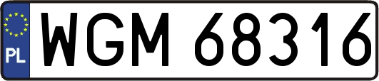 WGM68316