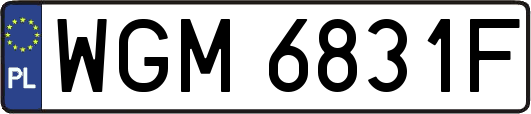 WGM6831F