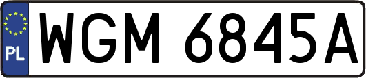 WGM6845A