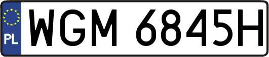 WGM6845H