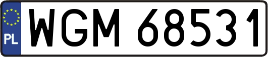 WGM68531