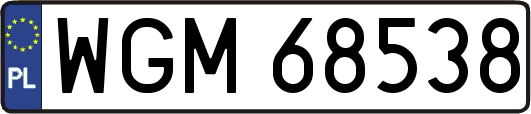 WGM68538