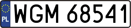 WGM68541
