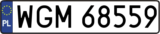 WGM68559