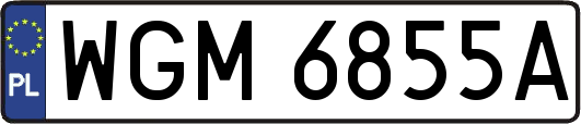 WGM6855A