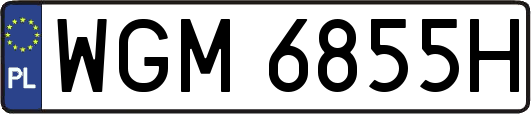 WGM6855H