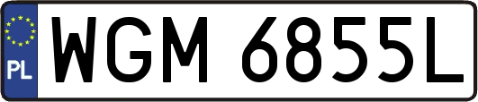 WGM6855L