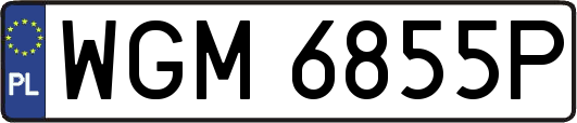 WGM6855P