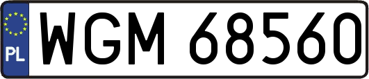 WGM68560
