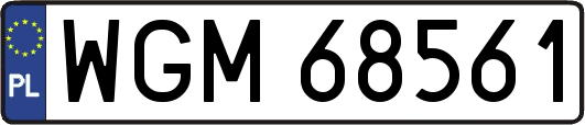 WGM68561