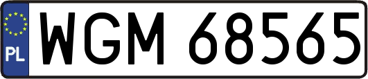 WGM68565