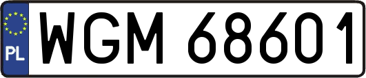 WGM68601