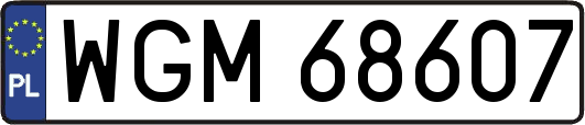 WGM68607