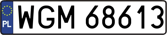 WGM68613