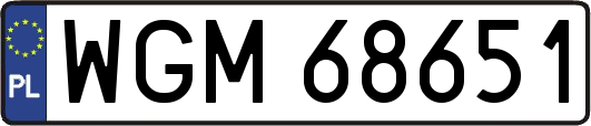 WGM68651