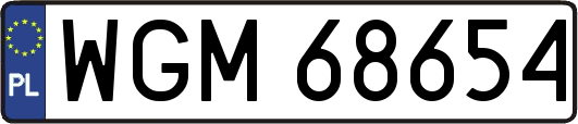 WGM68654