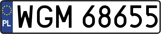 WGM68655