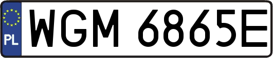 WGM6865E