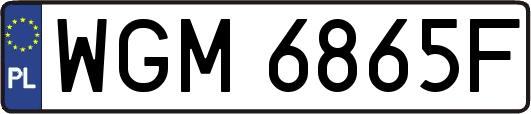 WGM6865F