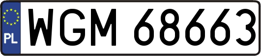 WGM68663