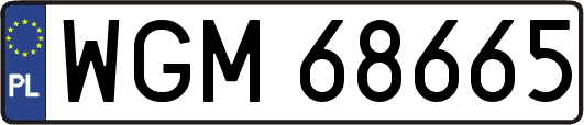 WGM68665