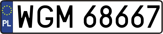 WGM68667